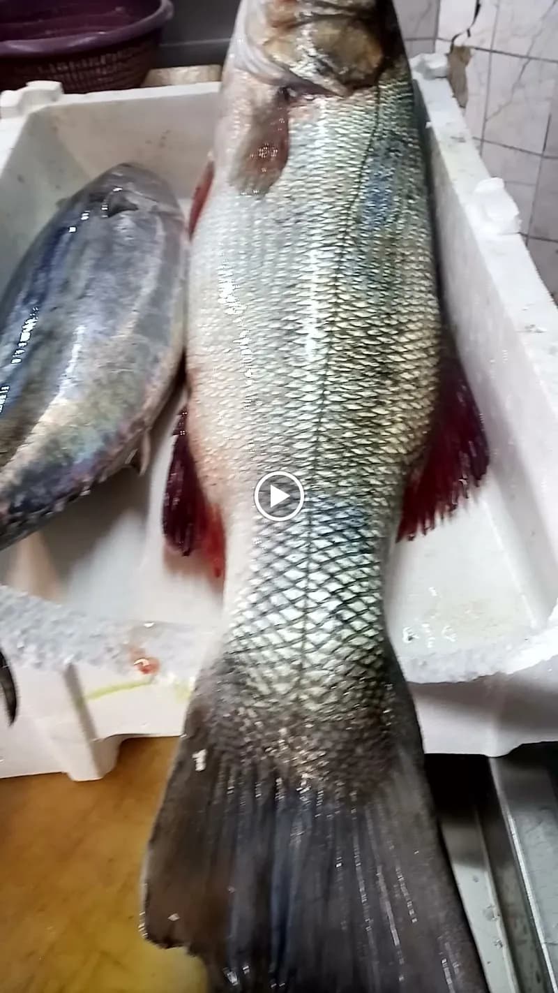 View of Sariyer Fishermen's Market in Beykoz, Istanbul