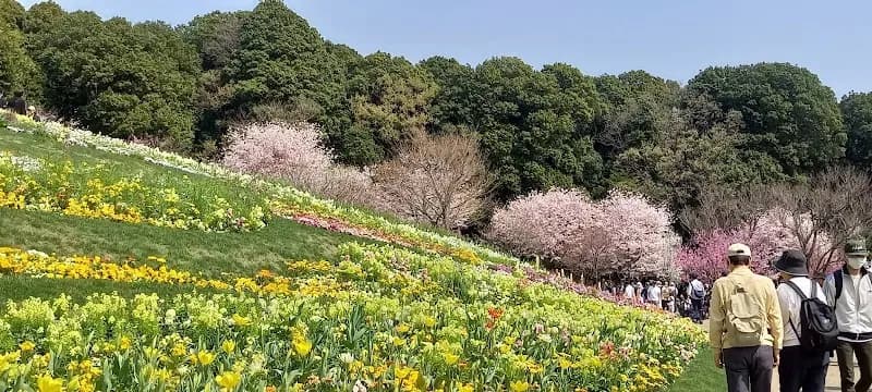 View of Satoyama Garden in Asahi, Kanagawa