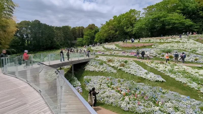 View of Satoyama Garden in Asahi, Kanagawa