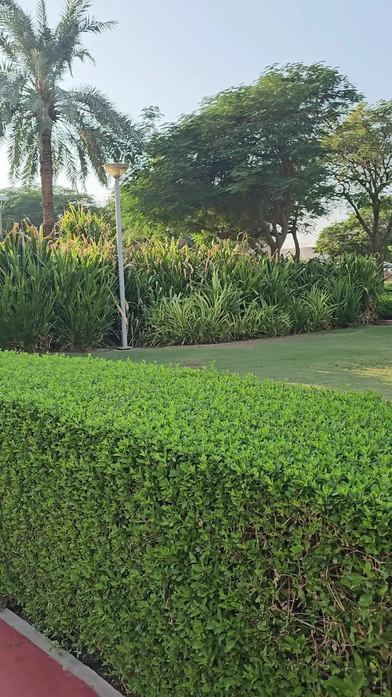 View of Satwa Park in Satwa, Dubai