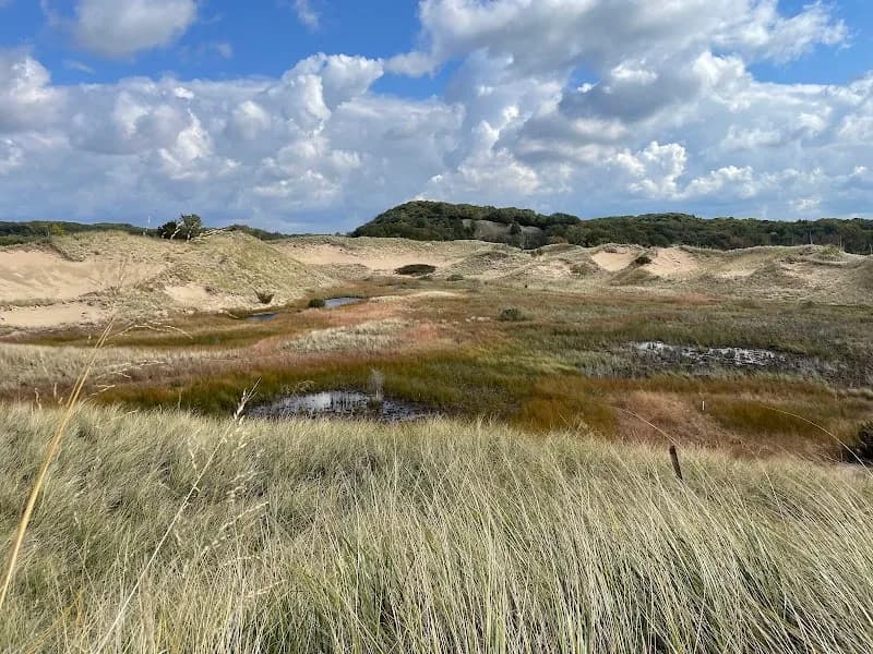 Saugatuck Harbor Natural Area nature preserve in Rothbury, MI
