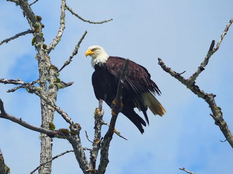 View of Sauvie Island Wildlife Area in Portland, OR