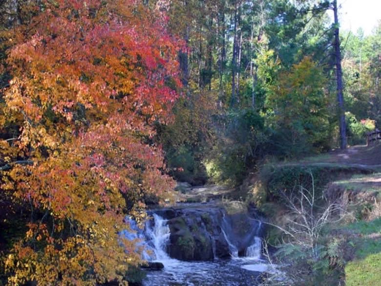 View of Savannah Rapids Pavilion in Augusta, GA