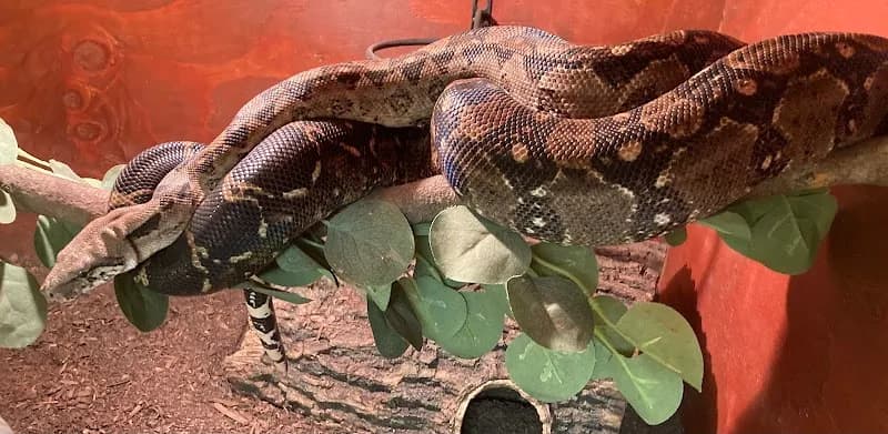 View of Scale and Tail Reptile Rescue in Tijeras, NM