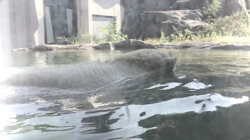 View of Schönbrunn Zoo in Vienna, W