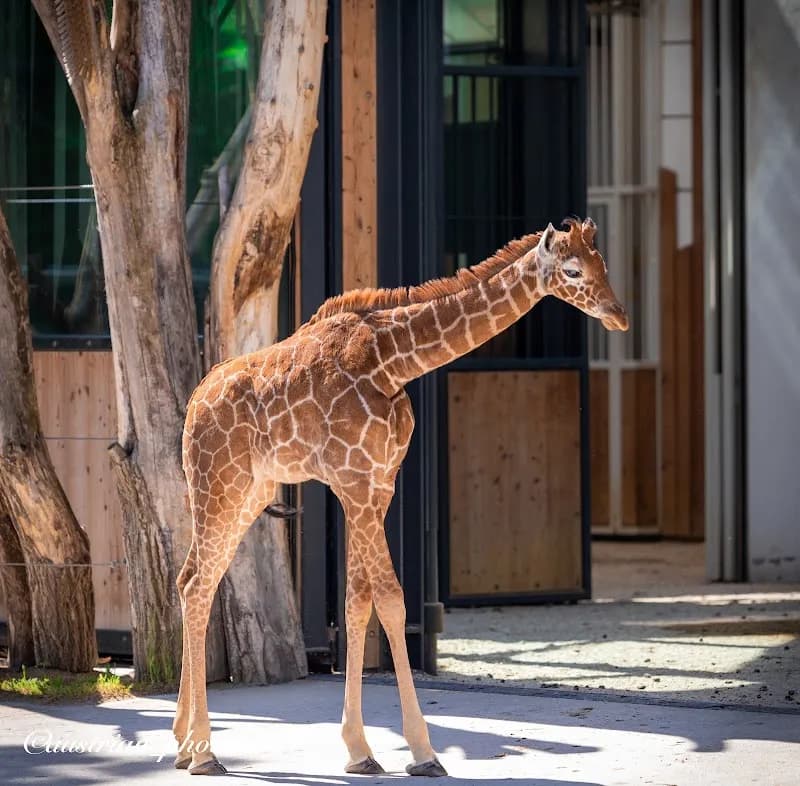 View of Schönbrunn Zoo in Vienna, W