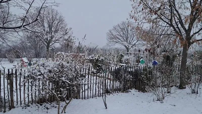 View of Schrebergarten Family Gardens (Community Allotments) in Strebersdorf, VIE