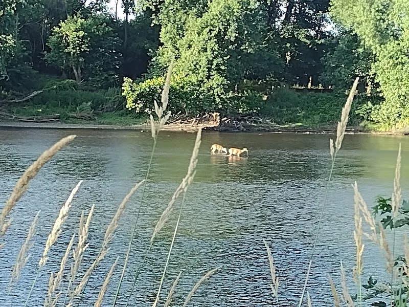View of Schuylkill River Trail in Phoenixville, PA