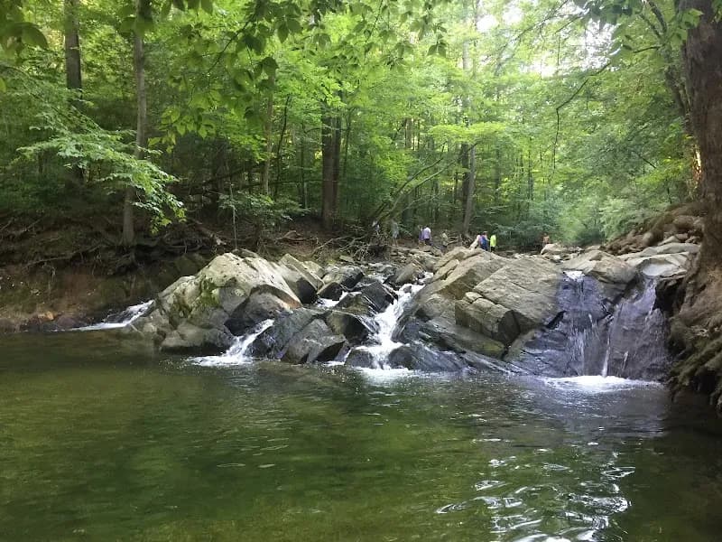 View of Scott’s Run Nature Preserve in McLean, VA