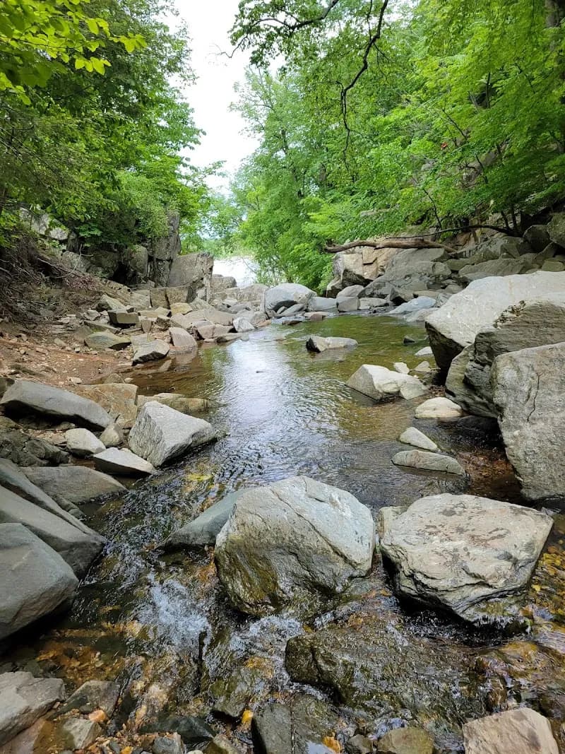 View of Scott’s Run Nature Preserve in McLean, VA
