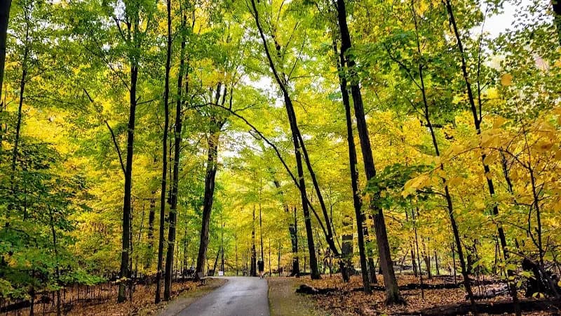 View of Scott Woods Park in Lansing, MI