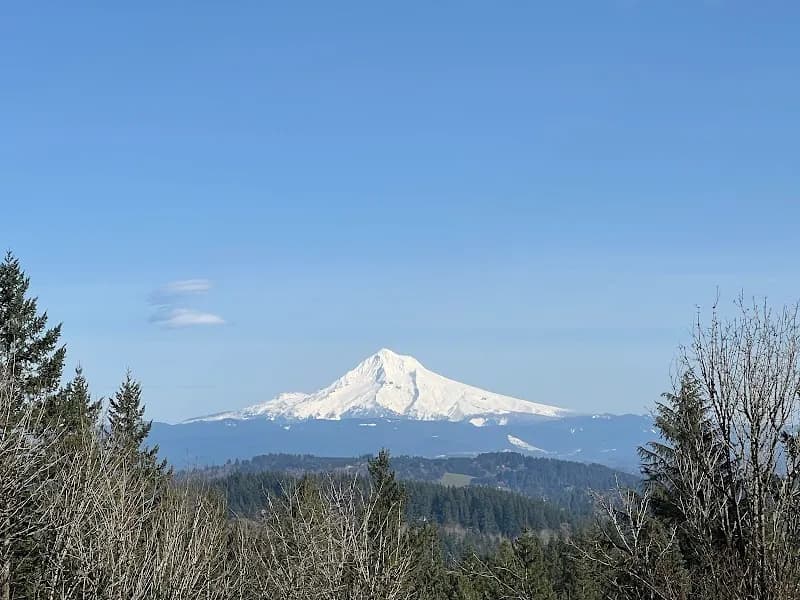 Scouters Mountain Nature Park park in Happy Valley, OR