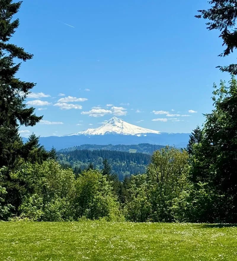 View of Scouters Mountain Nature Park in Happy Valley, OR