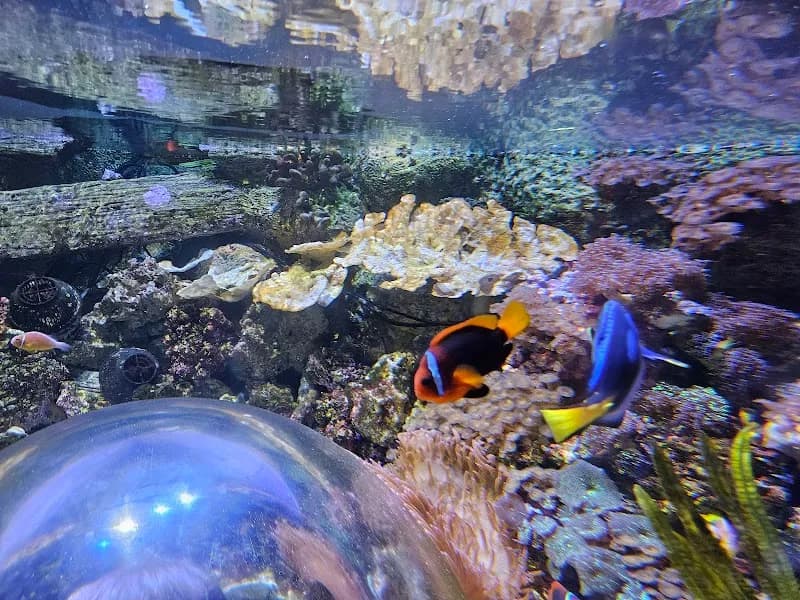 View of SEA LIFE Arizona Aquarium in Gilbert, AZ
