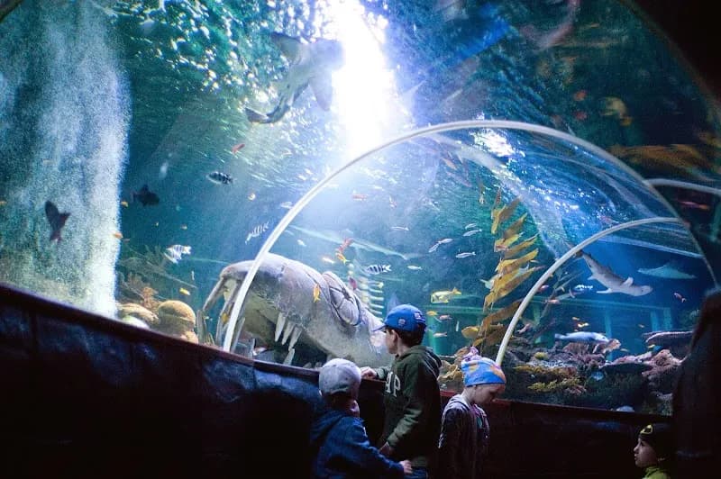 SEA LIFE Helsinki tourist attraction in Helsinki, HEL