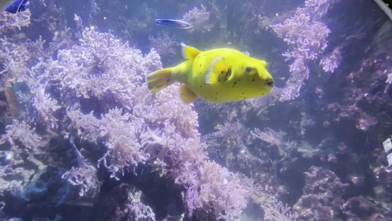 View of SEA LIFE Helsinki in Helsinki, HEL
