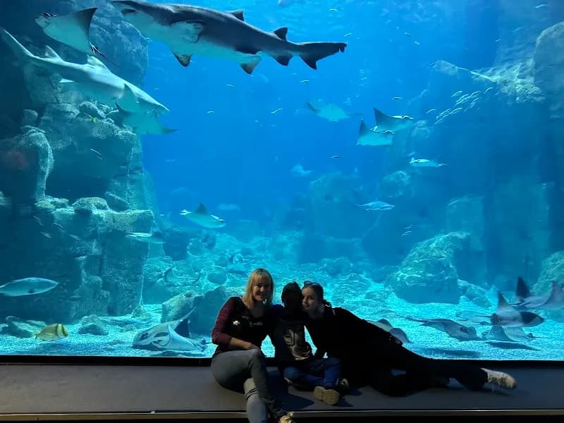 View of SEA LIFE in Istanbul, IST