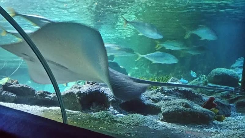 View of SEA LIFE in Istanbul, IST