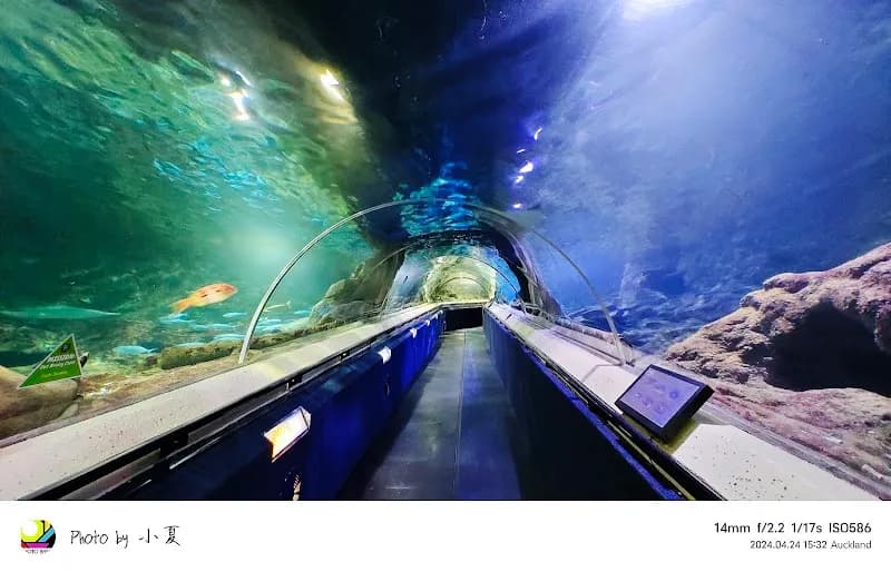 SEA LIFE Kelly Tarlton's Aquarium aquarium in Auckland, AKL