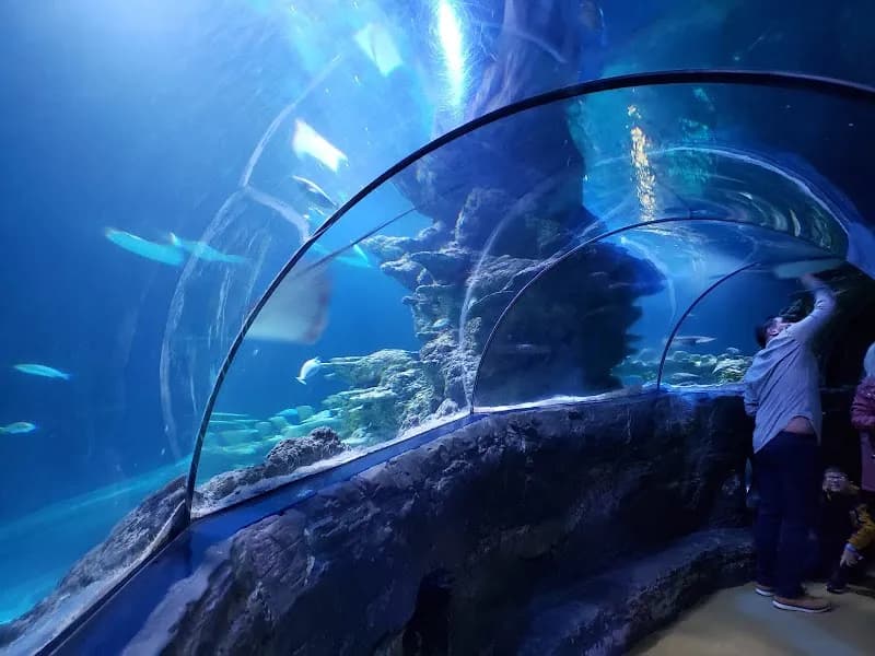 SEA LIFE London Aquarium aquarium in London, LDN