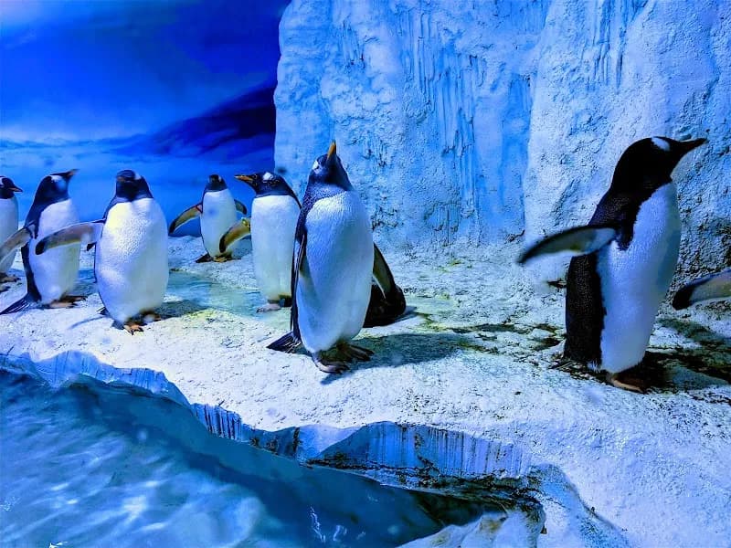 View of SEA LIFE London Aquarium in London, LDN