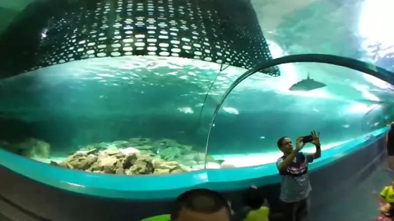 View of SEA LIFE Manly Sanctuary in Manly, NSW