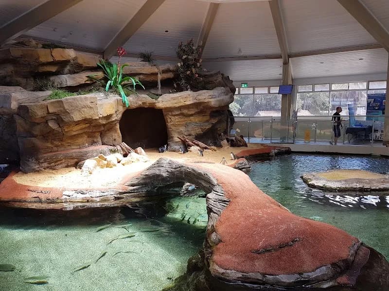 View of SEA LIFE Manly Sanctuary in Manly, NSW