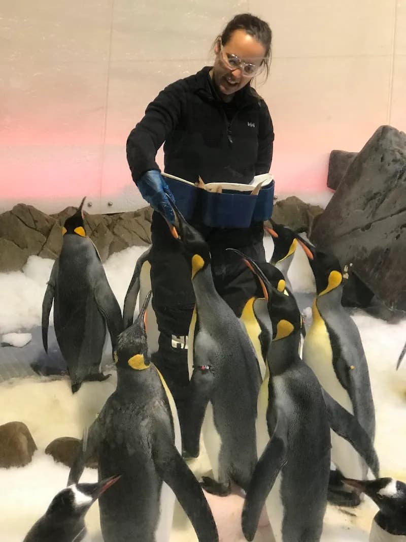 SEA LIFE Melbourne Aquarium aquarium in Melbourne, VIC