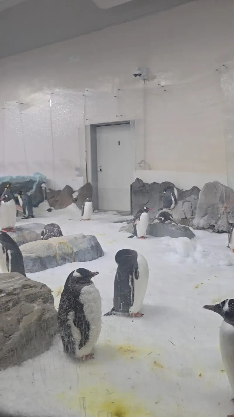 View of SEA LIFE Melbourne Aquarium in Melbourne, VIC