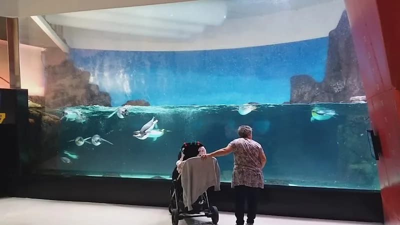 View of SEA LIFE Melbourne Aquarium in Melbourne, VIC