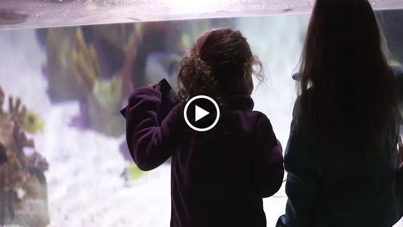 View of SEA LIFE Michigan Aquarium in Auburn Hills, MI