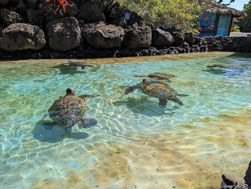 View of Sea Life Park Hawaii in Honolulu, HI