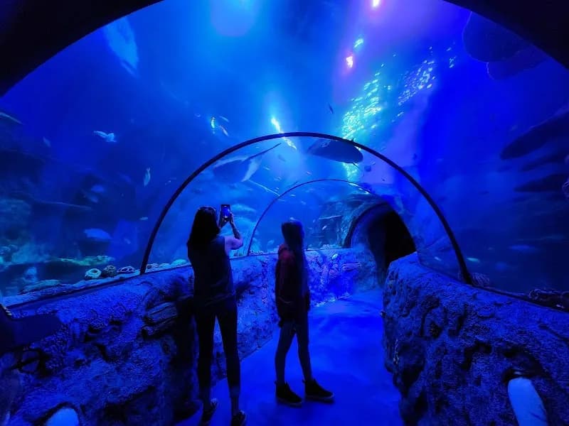 View of SEA LIFE San Antonio in San Antonio, TX