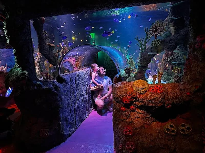 View of SEA LIFE San Antonio in San Antonio, TX