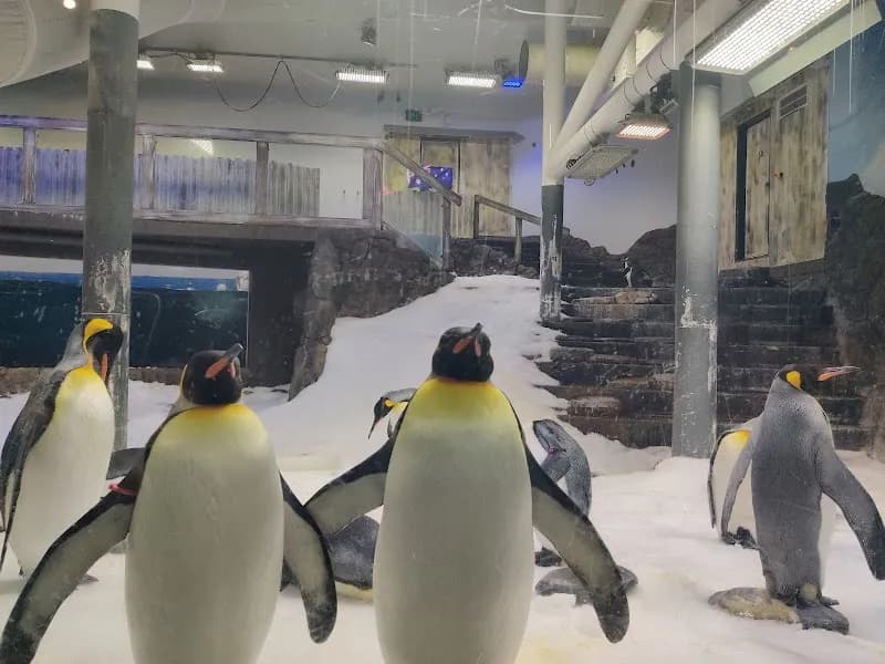 View of SEA LIFE Sydney Aquarium in Sydney, NSW