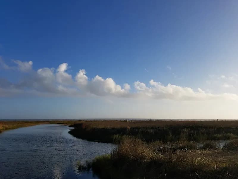 Sea Rim State Park state park in South Padre Island, TX