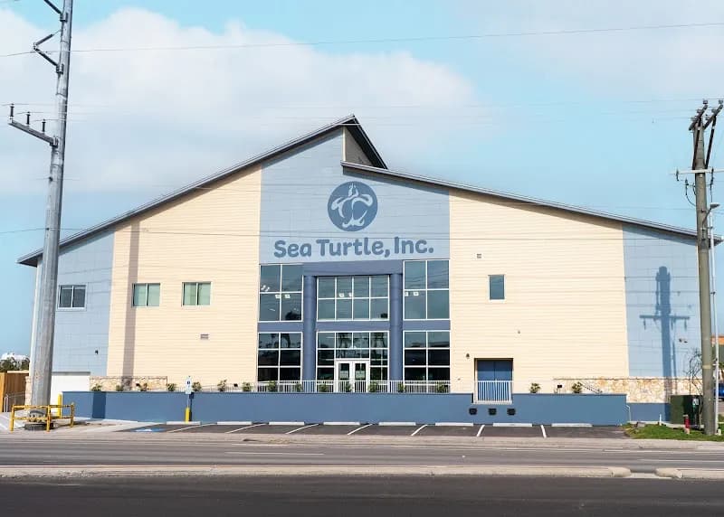 Sea Turtle, Inc. tourist attraction in Nags Head, NC