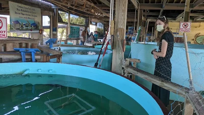 View of Sea Turtle, Inc. in South Padre Island, TX