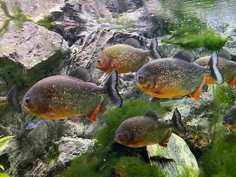 View of Sea World in Prague, PRG