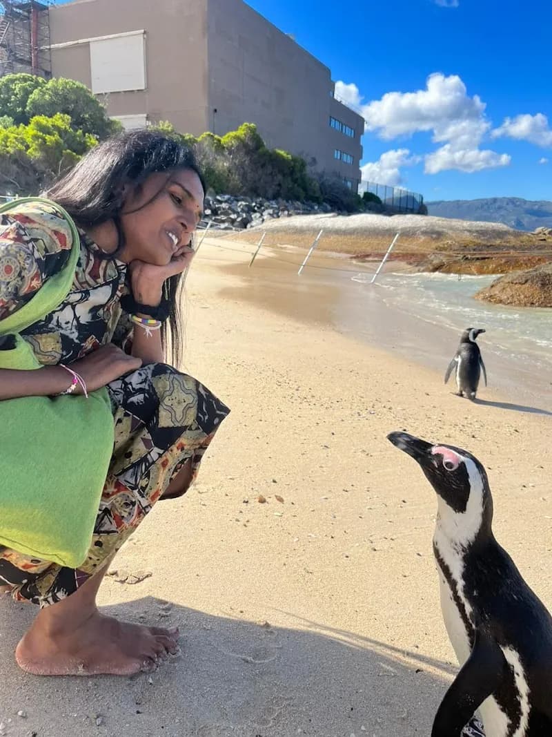 View of Seaforth Beach in Simonstown, WC