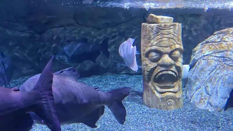 View of SEALIFE Busan Aquarium in Busan, BSN