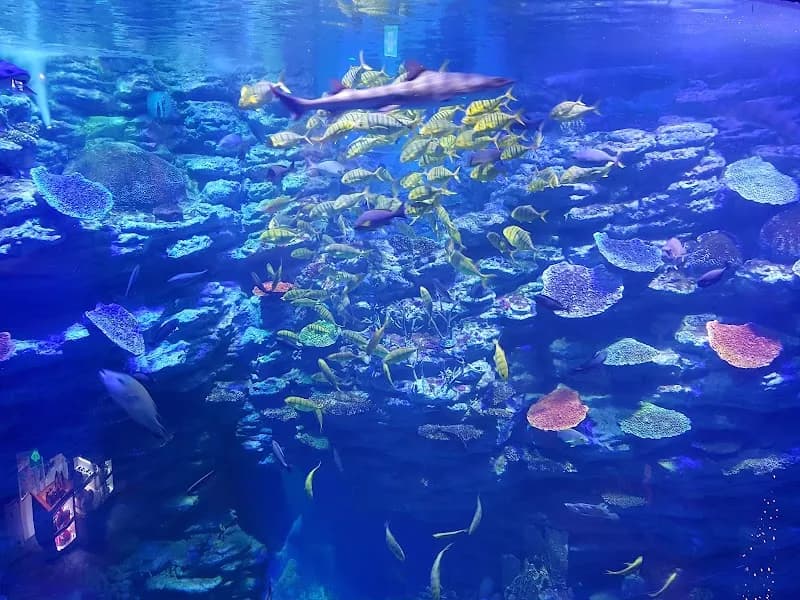 View of SEALIFE Busan Aquarium in Busan, BSN