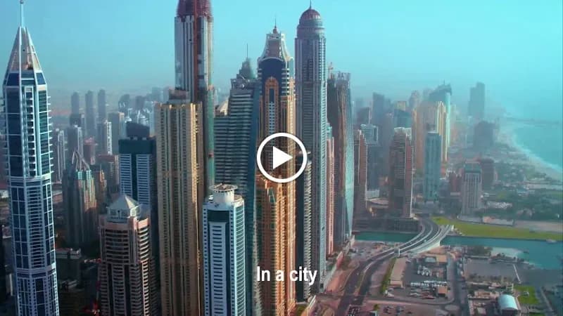 View of Seawings Seaplane Tours in Dubai, DXB