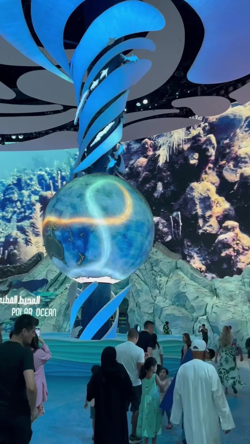 View of SeaWorld Abu Dhabi | سي وورلد جزيرة ياس، أبوظ in Yas Island, Abu Dhabi