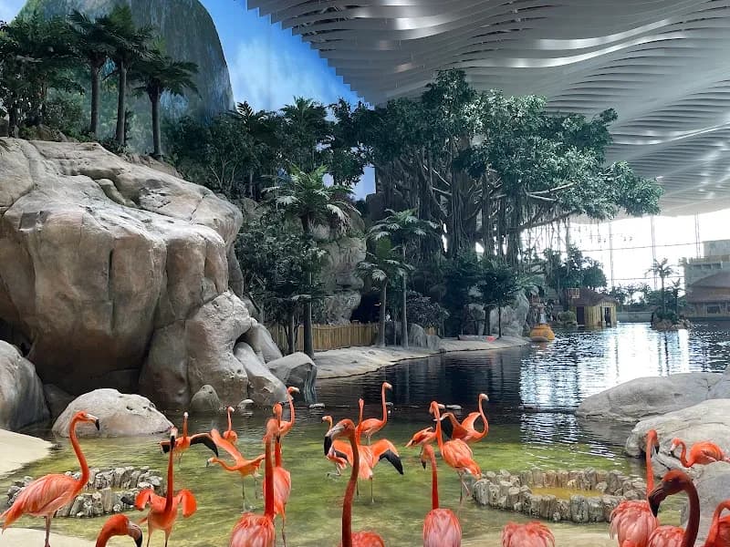 View of SeaWorld Abu Dhabi | سي وورلد جزيرة ياس، أبوظ in Yas Island, Abu Dhabi