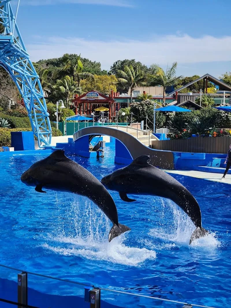 View of SeaWorld San Diego in San Diego, CA