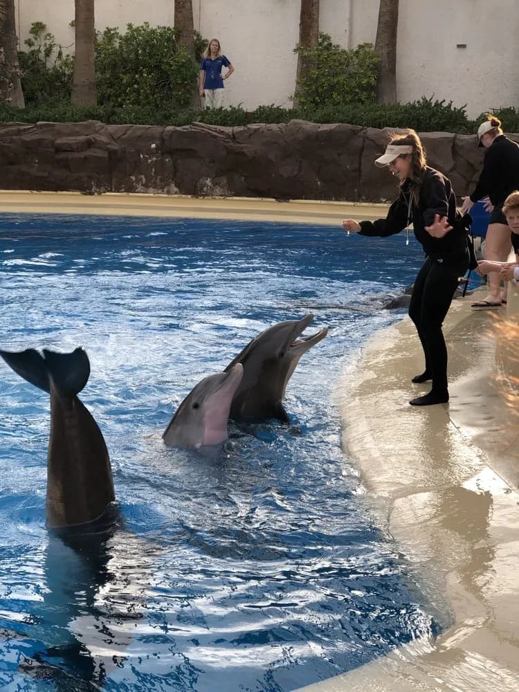 Secret Garden & Dolphin Habitat zoo in Las Vegas, NV