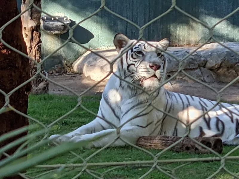 View of Secret Garden & Dolphin Habitat in Las Vegas, NV