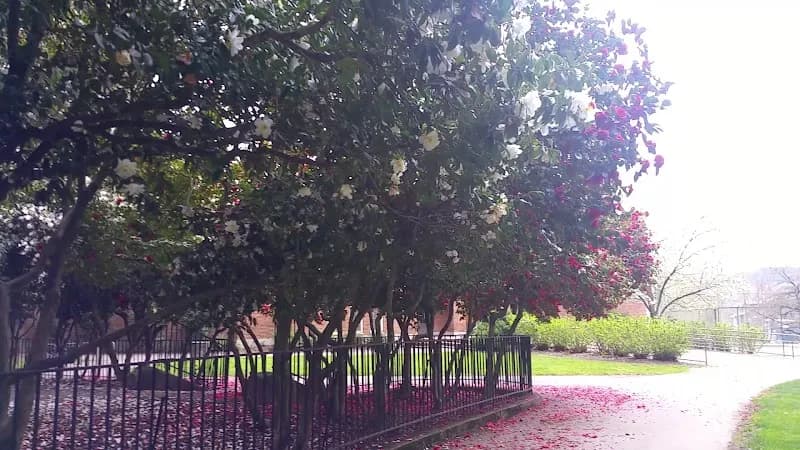 View of Sellwood Park in Woodstock, OR
