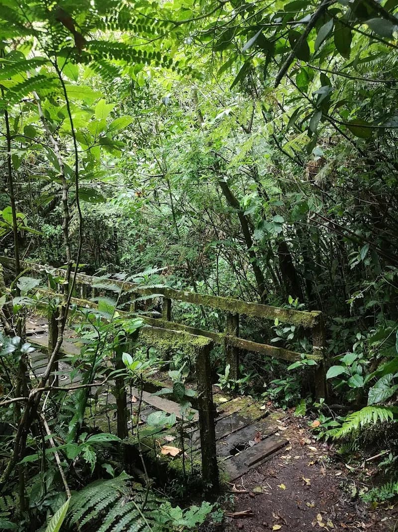 View of Sendero Natural San Isidro in San Isidro de Heredia, HD